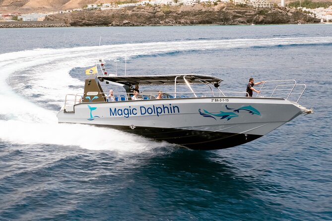 Morro Jable: 2 Hours Magic Dolphin & Whale watching with Drinks & Swim Stop. - Is $59.13 good value?