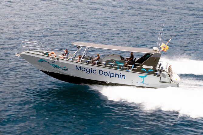 Morro Jable: 2 Hours Magic Dolphin & Whale watching with Drinks & Swim Stop. - A fast ride, not always a gentle cruise
