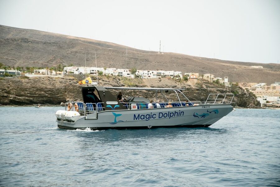 Morro Jable: Dolphin & Whale Watching Cruise, Drinks & Swim - Key points to know before you book