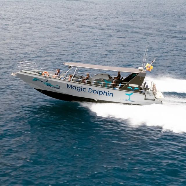 Morro Jable: Dolphin & Whale Watching Cruise, Drinks & Swim - A respectful way to watch marine life