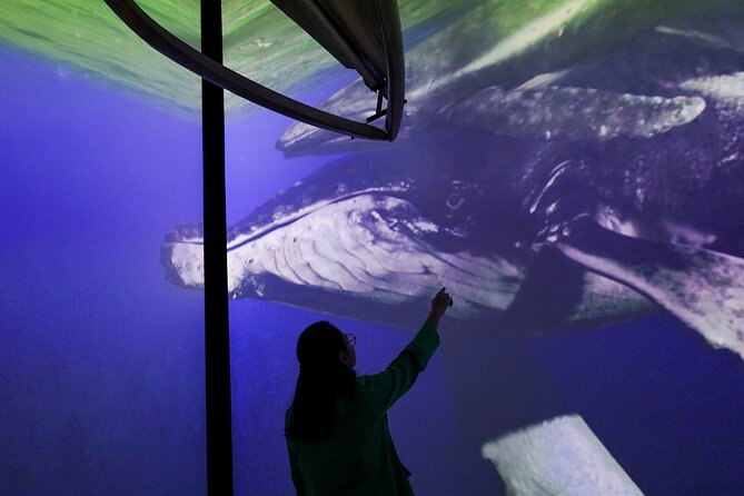 Munba National interactive Whale Museum - Whale songs and underwater ecosystems