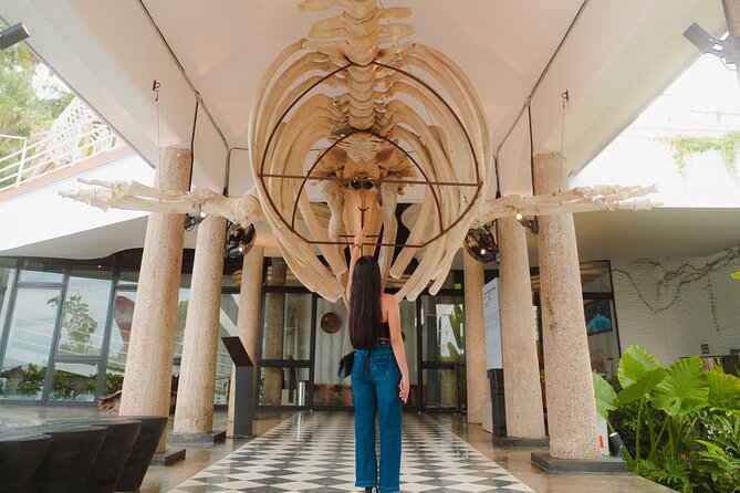 Munba National interactive Whale Museum - Following Talassa on a whale’s journey