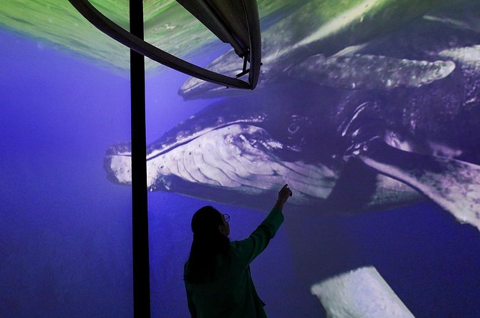 Munba National interactive Whale Museum - The Children’s Zone for families