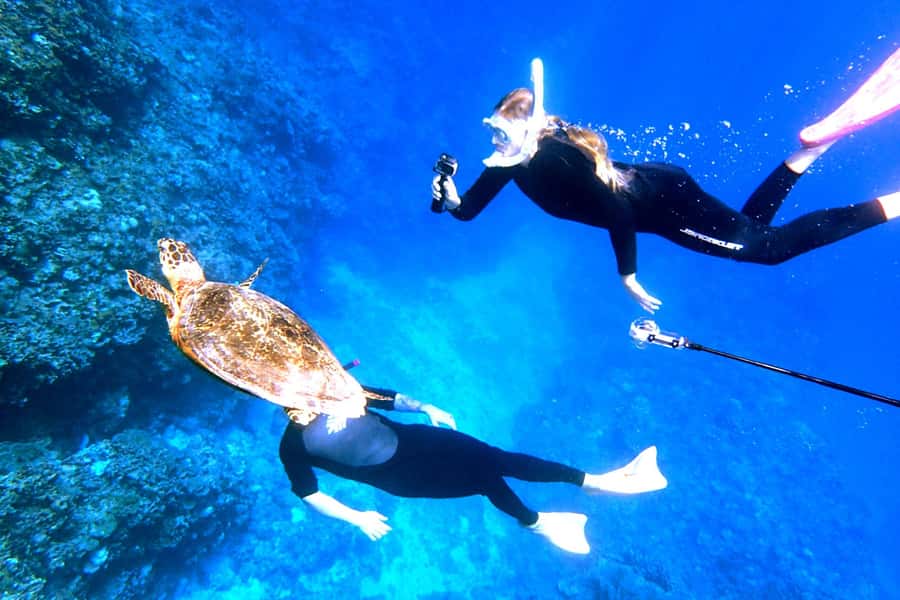 Naha:Kerama Island Experience Dive/Snorkeling/Whale Watching - Key points at a glance
