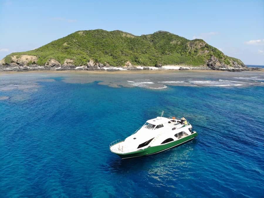 Naha:Kerama Island Experience Dive/Snorkeling/Whale Watching - Why Kerama water makes this Naha trip special
