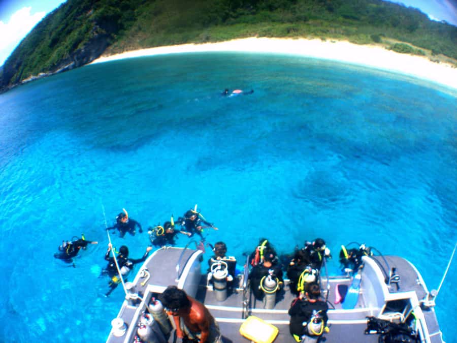 Naha:Kerama Island Experience Dive/Snorkeling/Whale Watching - Who should book this Kerama tour