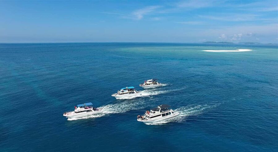 Naha, Okinawa: Kerama Islands Half-Day Whale Watching Tour - The real chance of seeing a whale