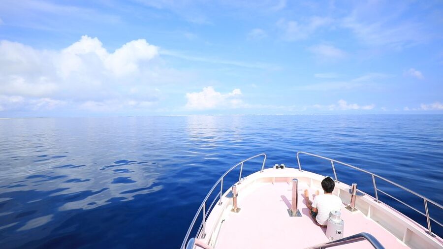 Naha, Okinawa: Kerama Islands Half-Day Whale Watching Tour - From Naha pickup to the harbor
