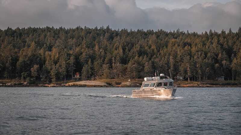 Nanaimo: Whale Watching Semi-Covered Boat Tour - Booking details that matter