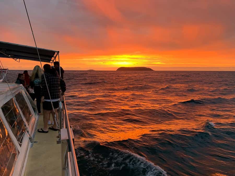 Nelson Bay: Whale and Dolphin Watching Catamaran Cruise - Weather, motion sickness, and the real comfort level