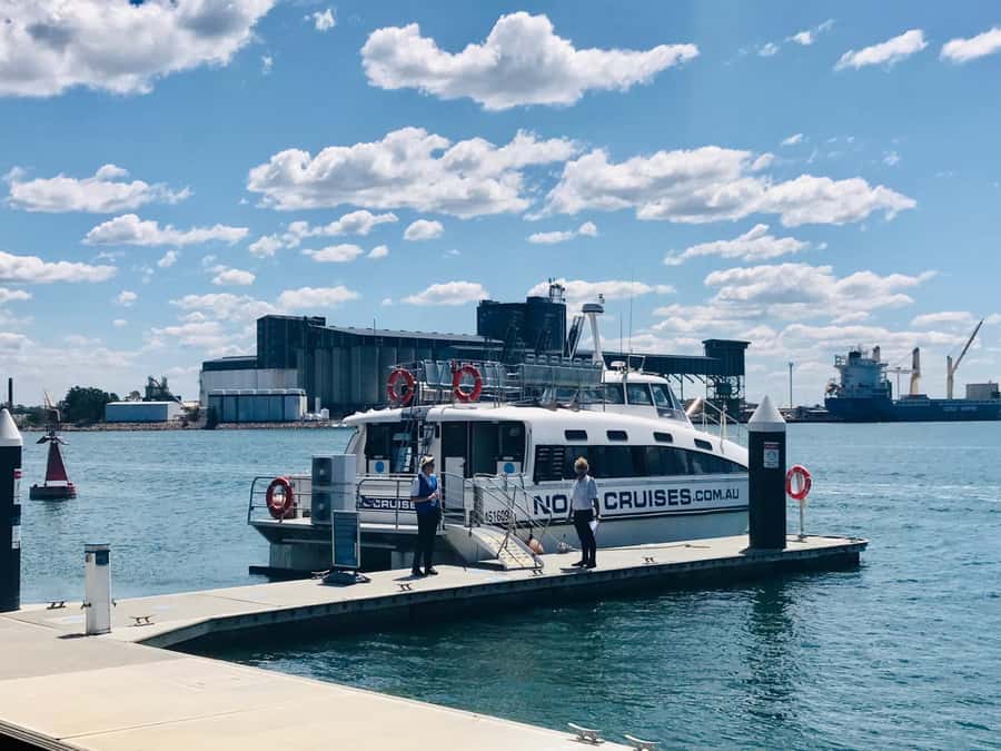 Newcastle: Humpback Whale Watching Cruise and Harbor Tour - Who will enjoy this cruise most?