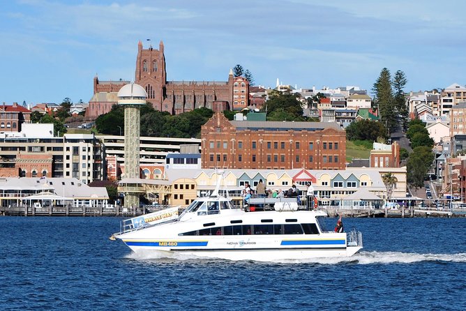 Newcastle Whale Watching Cruise - The harbour and outer beach tour