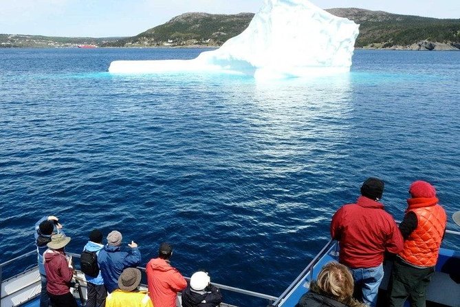 Newfoundland Puffin and Whale Watch Cruise - Stop Three: Witless Bay Ecological Reserve