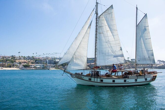 Newport Beach: Whale and Dolphin-Watching Cruise - Key points to know before you go