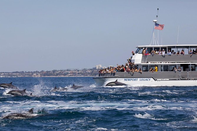 Newport Beach: Whale and Dolphin-Watching Cruise - Comfort, children, and motion on the water