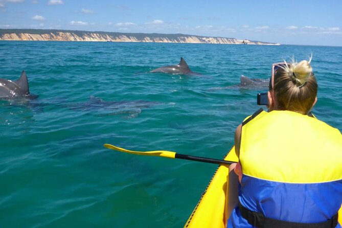 Noosa: Epic Whale Watching On Ocean Kayaks & Beach 4X4 Tour - What the 4X4 and kayak combination adds