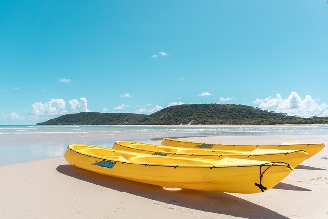 Noosa: Epic Whale Watching On Ocean Kayaks & Beach 4X4 Tour - Who will enjoy this most