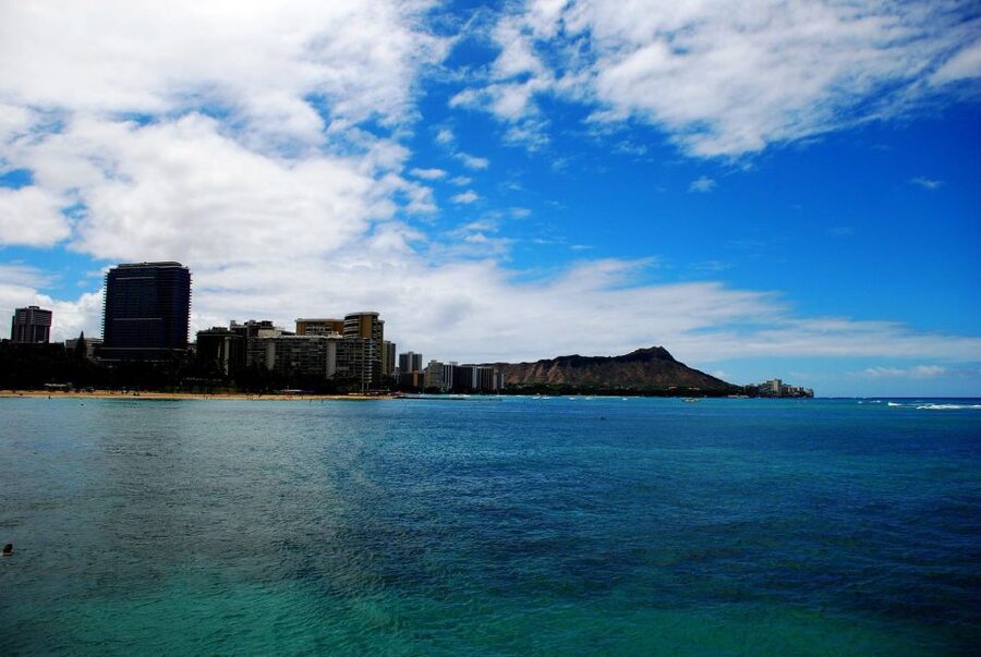 Oahu: Waikiki Eco-Friendly Afternoon Whale Watching Trip - A whale watch with Waikiki in the picture