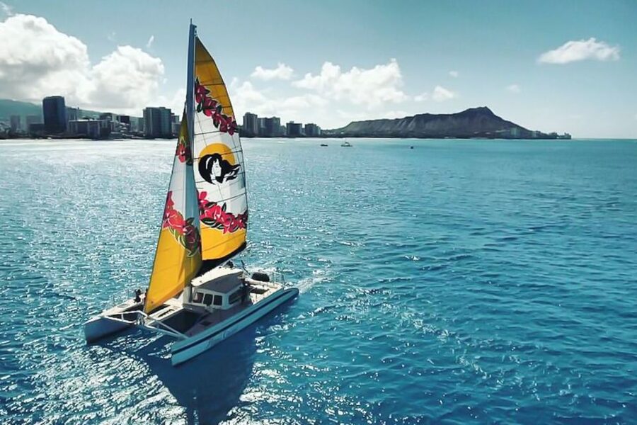 Oahu: Waikiki Eco-Friendly Morning Whale Watching Cruise - Key points to know before you book