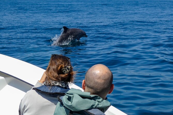 Observation of Dolphins and Whales with Marine Biologist in Arrábida - What the Three-Hour Boat Trip Includes