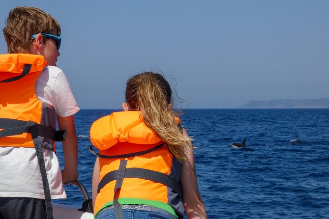 Observation of Dolphins and Whales with Marine Biologist in Arrábida - Should You Book the Arrábida Dolphin Tour?