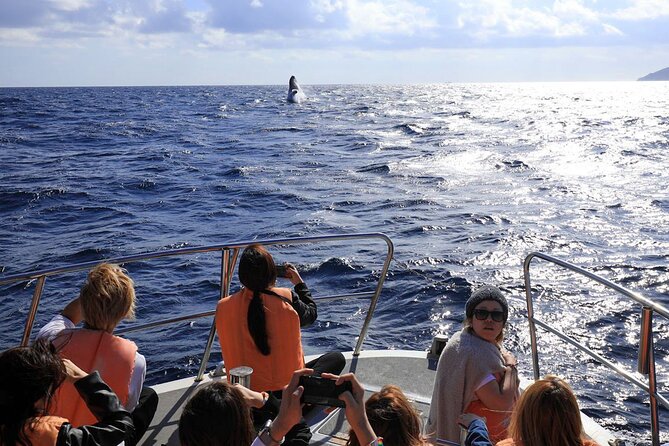 Okinawa Whale Watching From Naha - Boarding in Naha and getting ready