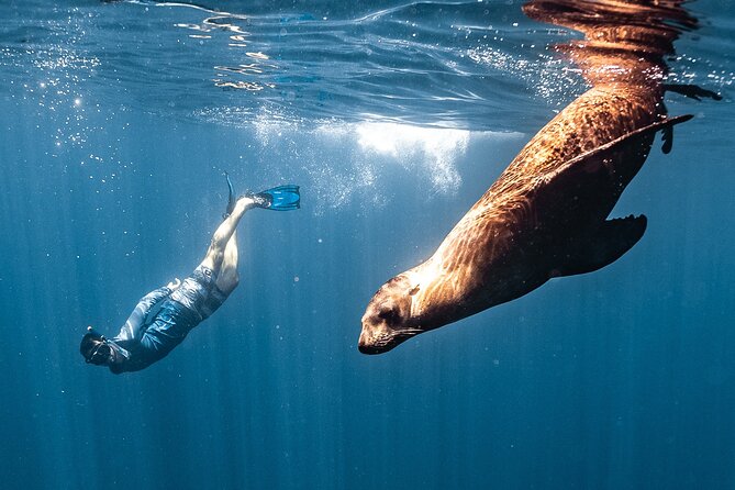 Open Ocean Safari and Whale Watching - El Arco gives the morning its Cabo postcard