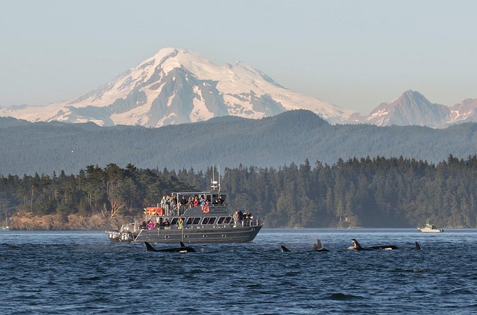 Orcas Island Whale Watching - Clothing, comfort, and family fit