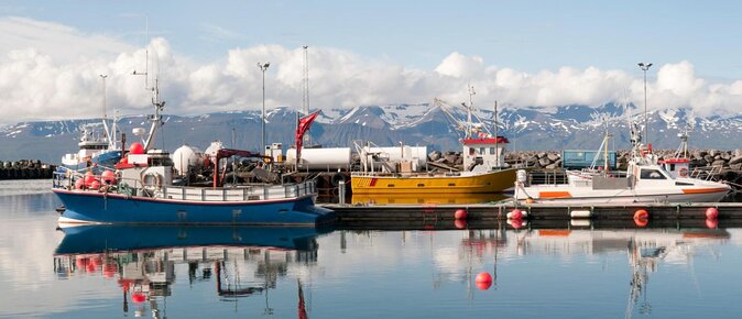 Original Big Whale Safari & Puffins Speedboat Tour from Húsavík - Why Húsavík is the right place for a whale trip