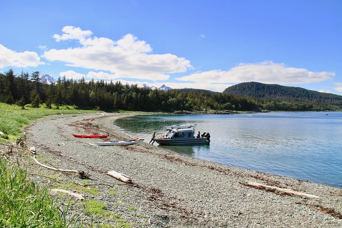 Paddle with Whales Kayak Adventure Juneau - From downtown Juneau to Auke Bay Harbor