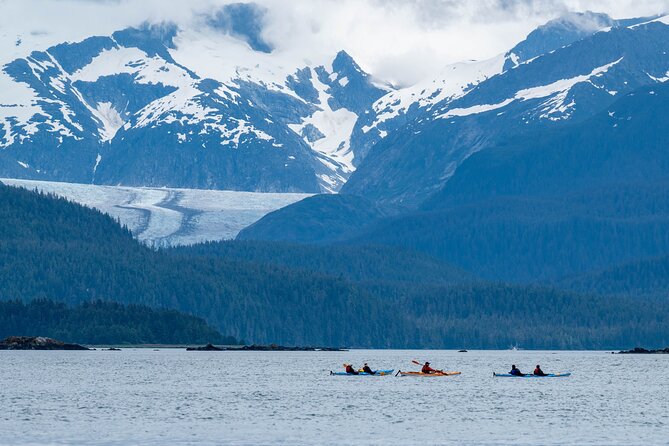 Paddle with Whales Kayak Adventure Juneau - Four hours in Channel Islands State Marine Park