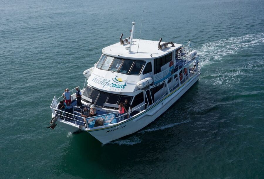Philip Island: Dolphin and Whale Cruise - Is $95 a fair price?
