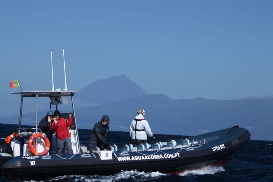 Pico Island: Azores Whale & Dolphin Watching on Zodiac Boat - Why Pico’s offshore waters are so good for wildlife