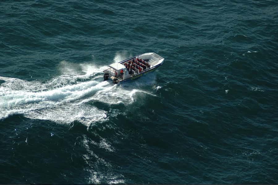 Plettenberg Bay: Whale Watching Boat Cruise - What happens during the two-hour cruise