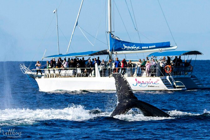 Port Stephens 3 Hour Whale and Dolphin Watch Cruise - Setting out from Nelson Bay