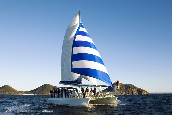 Port Stephens 3 Hour Whale and Dolphin Watch Cruise - Is $62.04 good value?