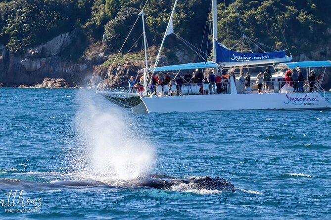 Port Stephens 3 Hour Whale and Dolphin Watch Cruise - Who will enjoy this cruise most?