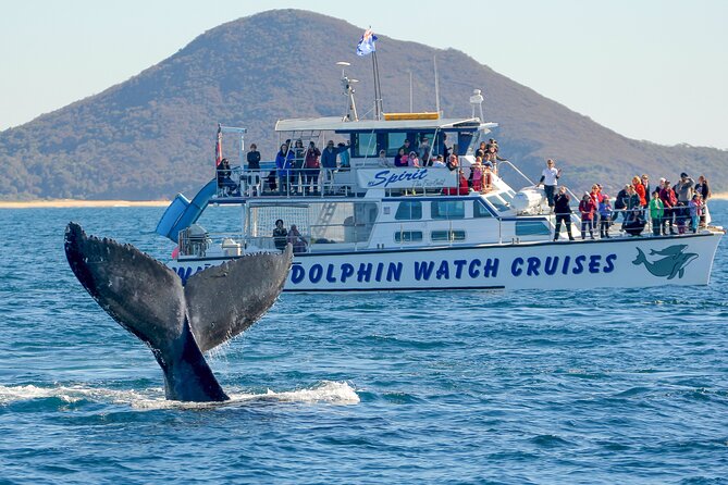 Port Stephens: Whale Watching Cruise - Leaving Nelson Bay for open water