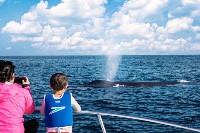 Private 2hr Supreme Whale/Dolphin Watching Tour, Newport Beach CA - What the private format is worth at $450