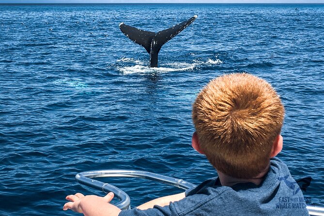 Private 2hr Supreme Whale/Dolphin Watching Tour, Newport Beach CA - Preparing for wind, sun, and a fast ride