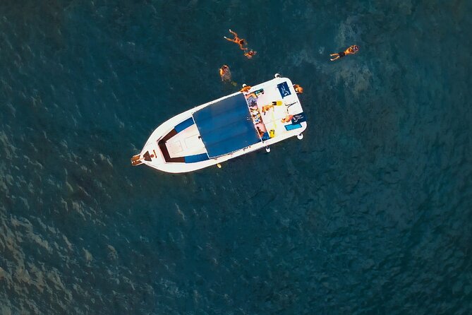 private charter 3 Hours Whale Encounter puerto colon adeje - A crew that works well with families