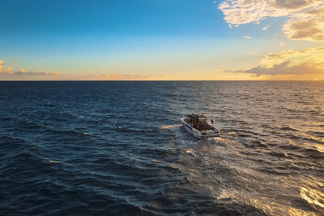 private charter 3 Hours Whale Encounter puerto colon adeje - Swimming at turtle bay