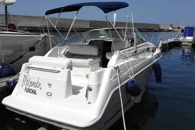 Private Dolphin and Whale Watching Tour in Madeira - Leaving from Porto de Recreio da Calheta
