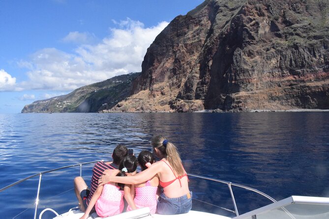 Private Dolphin and Whale Watching Tour in Madeira - Who will get the most from this Madeira cruise?
