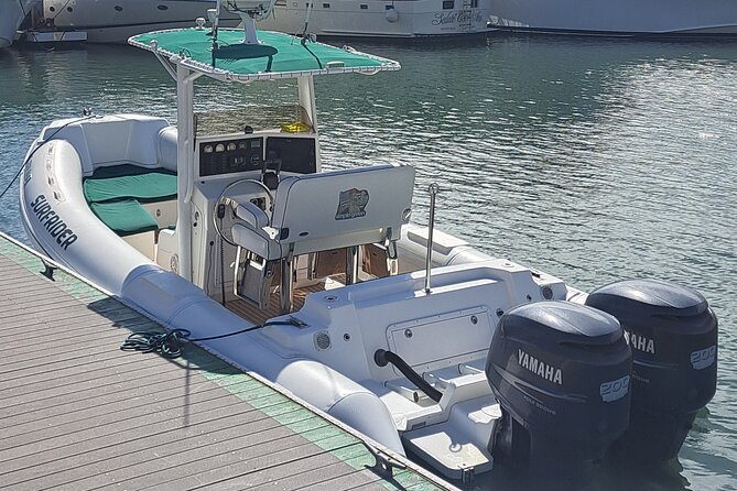 Private Dolphin and Whale Watching Tour in Newport Beach - What Captain Dustin adds to the outing