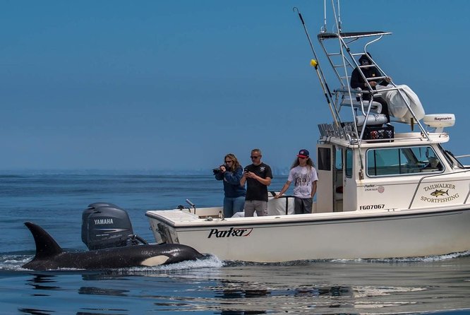 Private Family Whale & Dolphin Adventure in San Diego - Leaving Mission Bay for the open coast