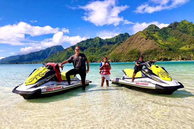 Private Half Day Whale Watching Tour - Swimming, snorkeling gear, and possible wildlife encounters