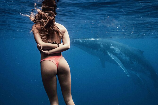 Private Half Day Whale Watching Tour - Moorea’s humpback season runs from August to November