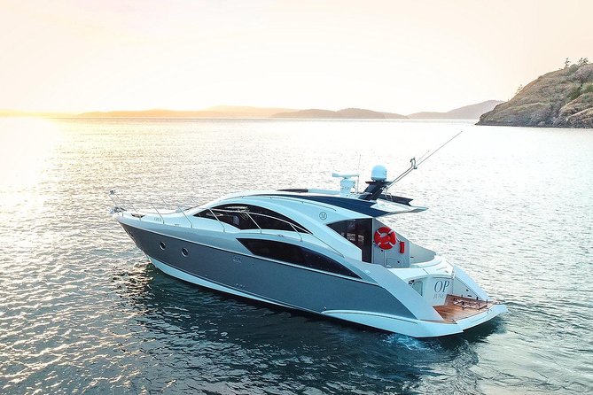 Private Luxury Whale Watch - Key points to know before booking