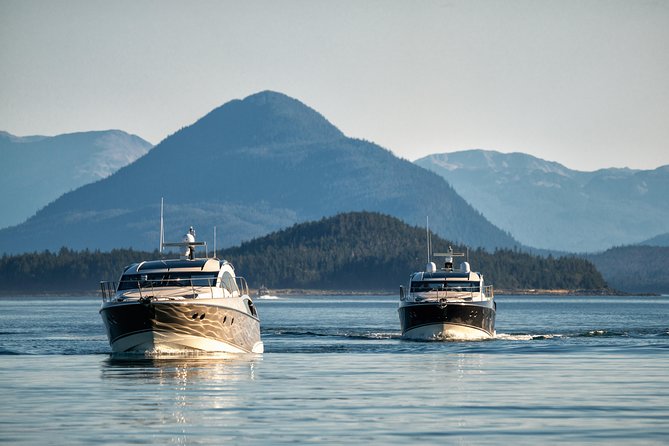 Private Luxury Whale Watch - Timing your cruise ship day